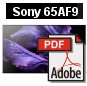 Sony OLED AF9 - Commandes Groupées Sony KD65AF9